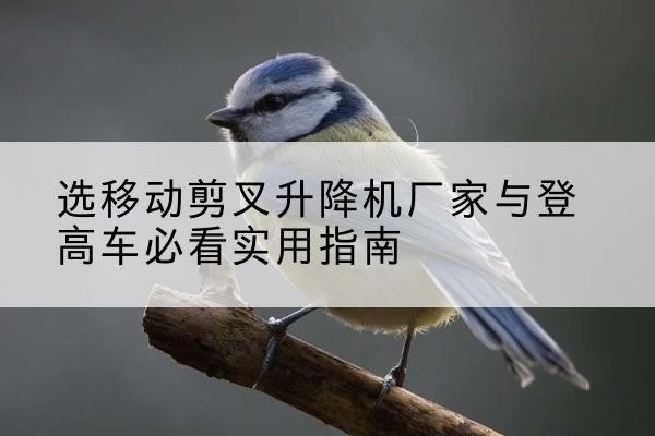 绩溪电动升降机厂家-选移动剪叉升降机厂家与登高车必看实用指南