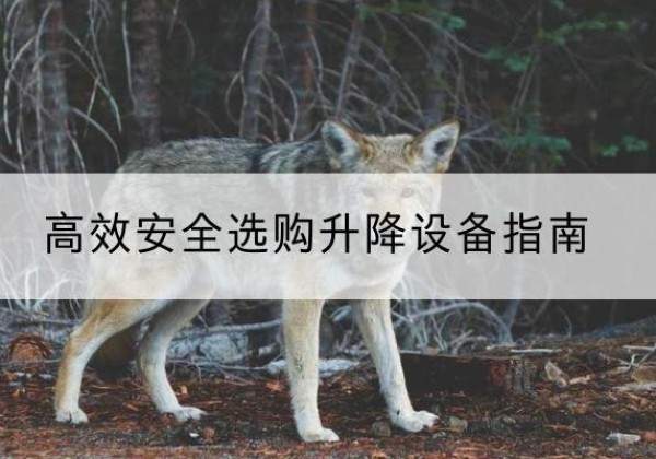 绩溪升降货梯厂家推荐-*安全选购升降设备指南